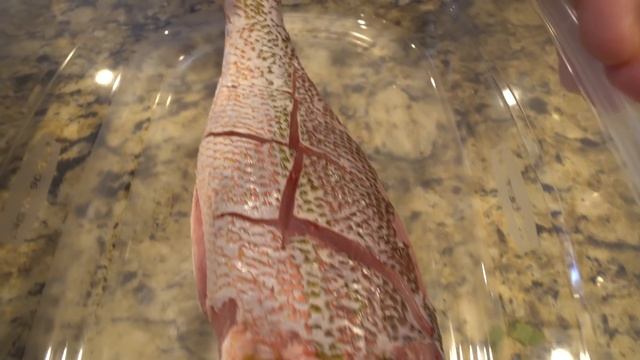 Whole Fried DEEP SEA Snapper! Catch Clean Cook