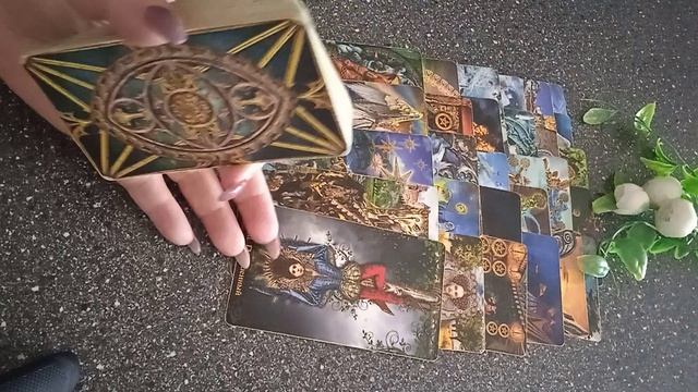 VID_20250305_161041.mp4