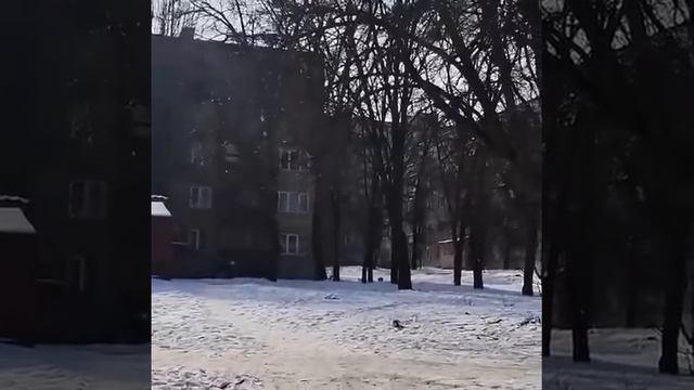 Харьков. Хохол жалуется, что на весь двор гремит русская музыка