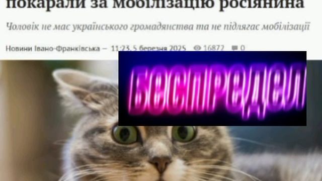 🇷🇺🤬🇺🇦Гражданина России мобилизовали в ВСУ в Ивано-Франковской области 🤷♂