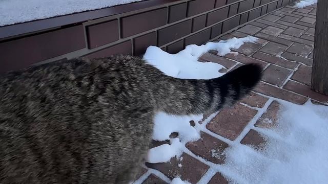 05-03-2025 Под звуки учебной тревоги