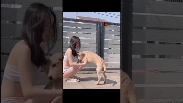 Краса и шарм в каждом кадре! Ч. 17