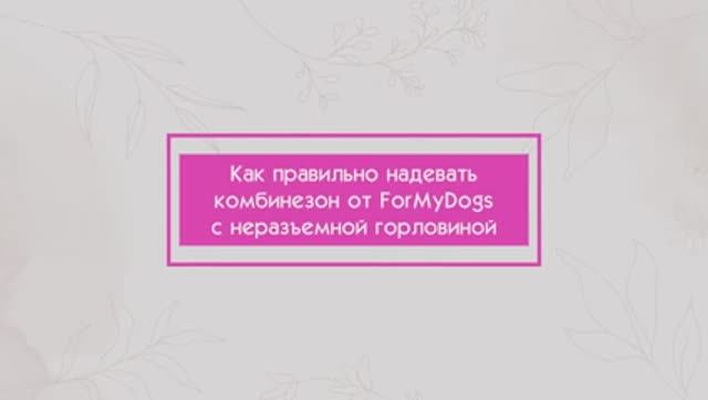 Как правильно надевать комбинезон от ForMyDogs