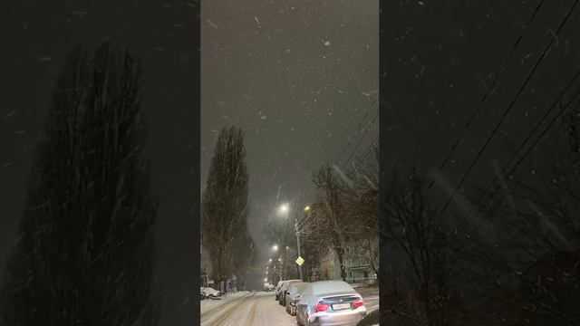 ❄Снежные деньки❄ #shorts #short #shortsvideo #nature #funny #природа #зима #снег