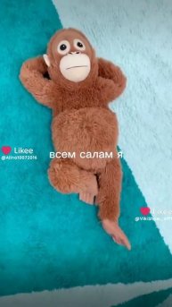 Like_7477963136456816329.mp4