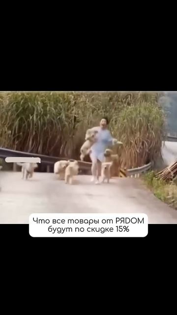 Одежда для тебя и питомца со скидкой 15% на ryadom-pets.ru