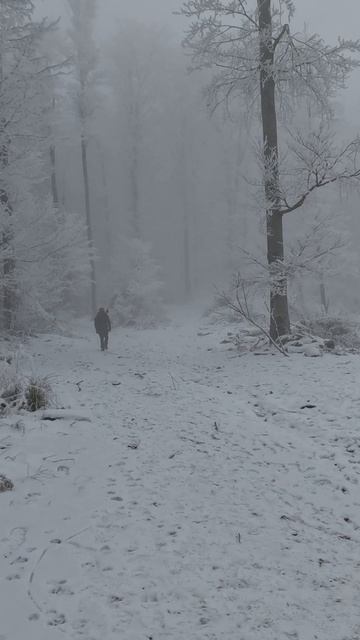 Зимний поход в туманных горах | Исследуем приключение в туманном лесу
