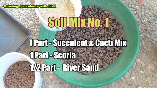 How to make LITHOPS Soil Mix | Growing Succulents with LizK