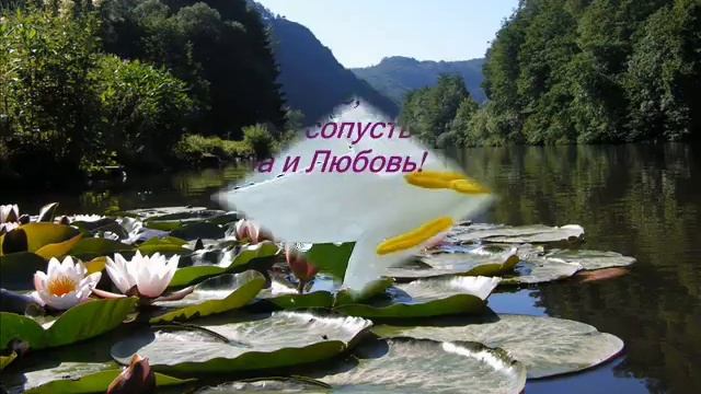 с праздником 8 марта