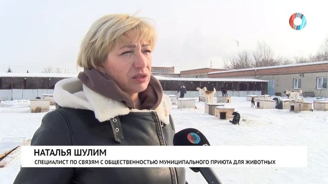 Печь для приюта