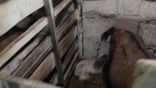 Плохие и хорошие новости.