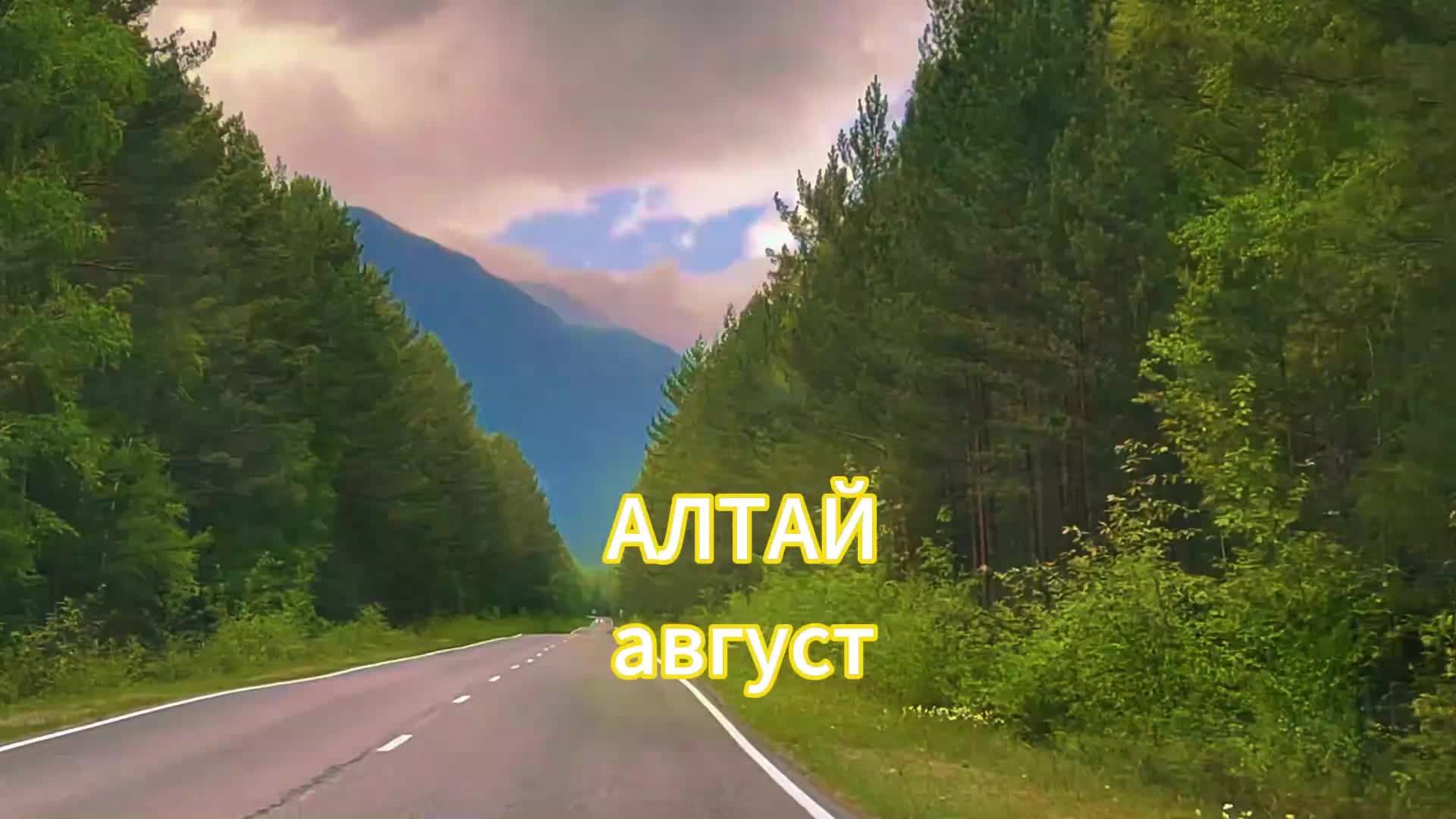 Трансляция Горный Алтай, август 2024