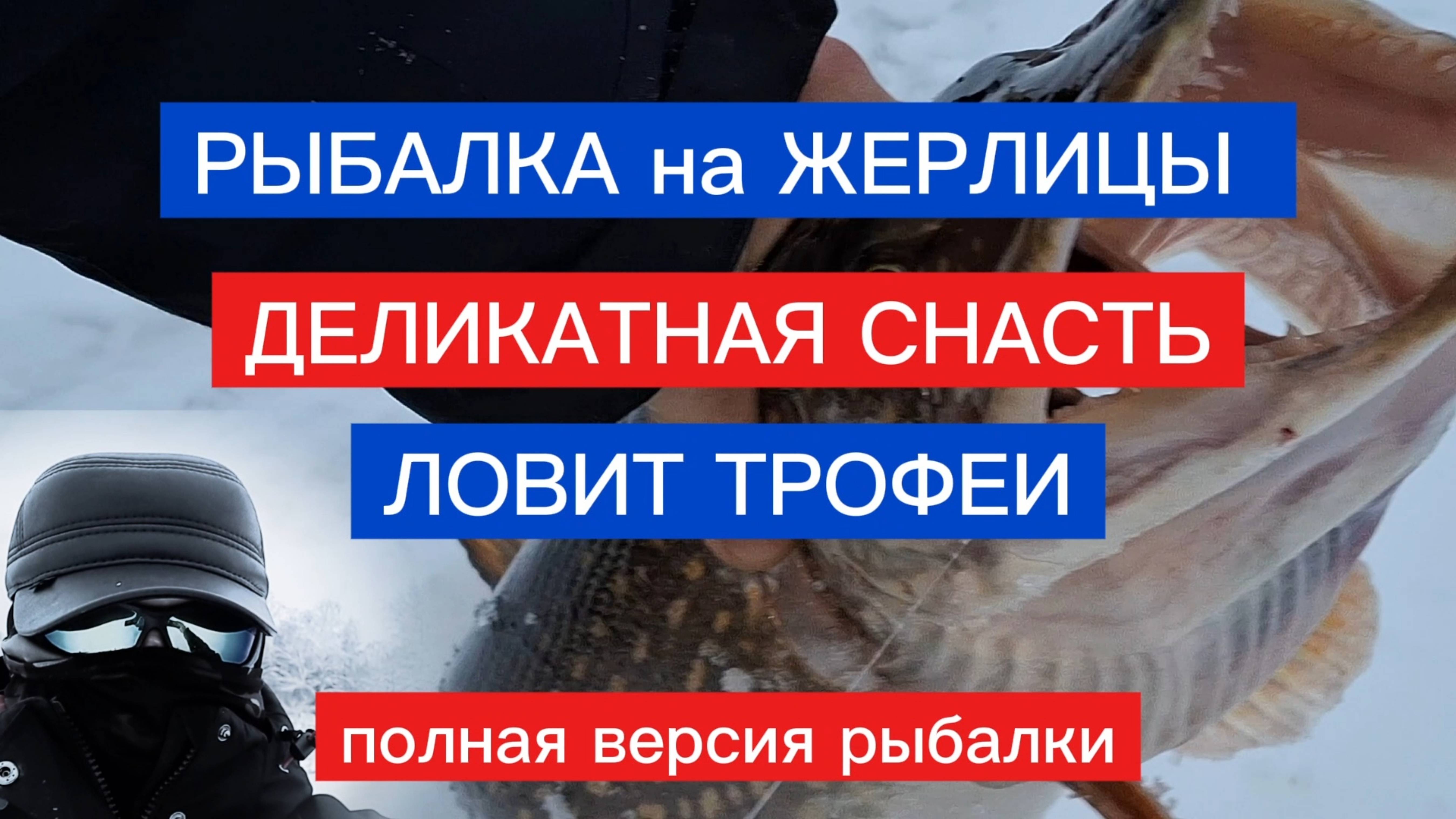 РЫБАЛКА на ЖЕРЛИЦЫ! ДЕЛИКАТНАЯ снасть ловит ТРОФЕИ!