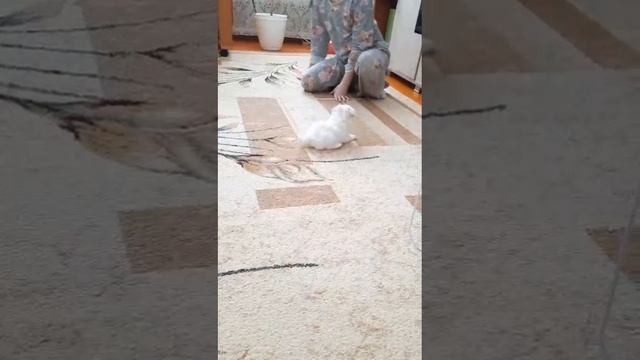 1000004276.mp4