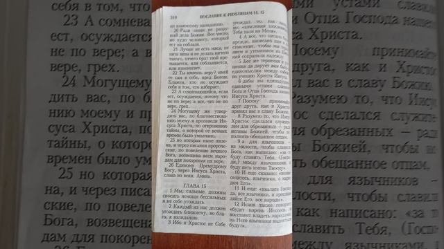 Моя бесовская православная правда.