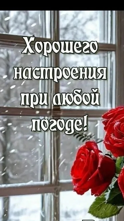 Доброе утро !