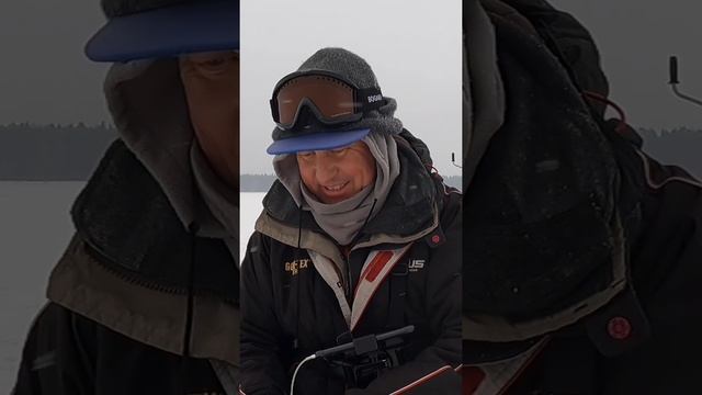КАК ПОЙМАТЬ СУДАКА - смотри полный обзор на канале - от 1 марта 2025 г.