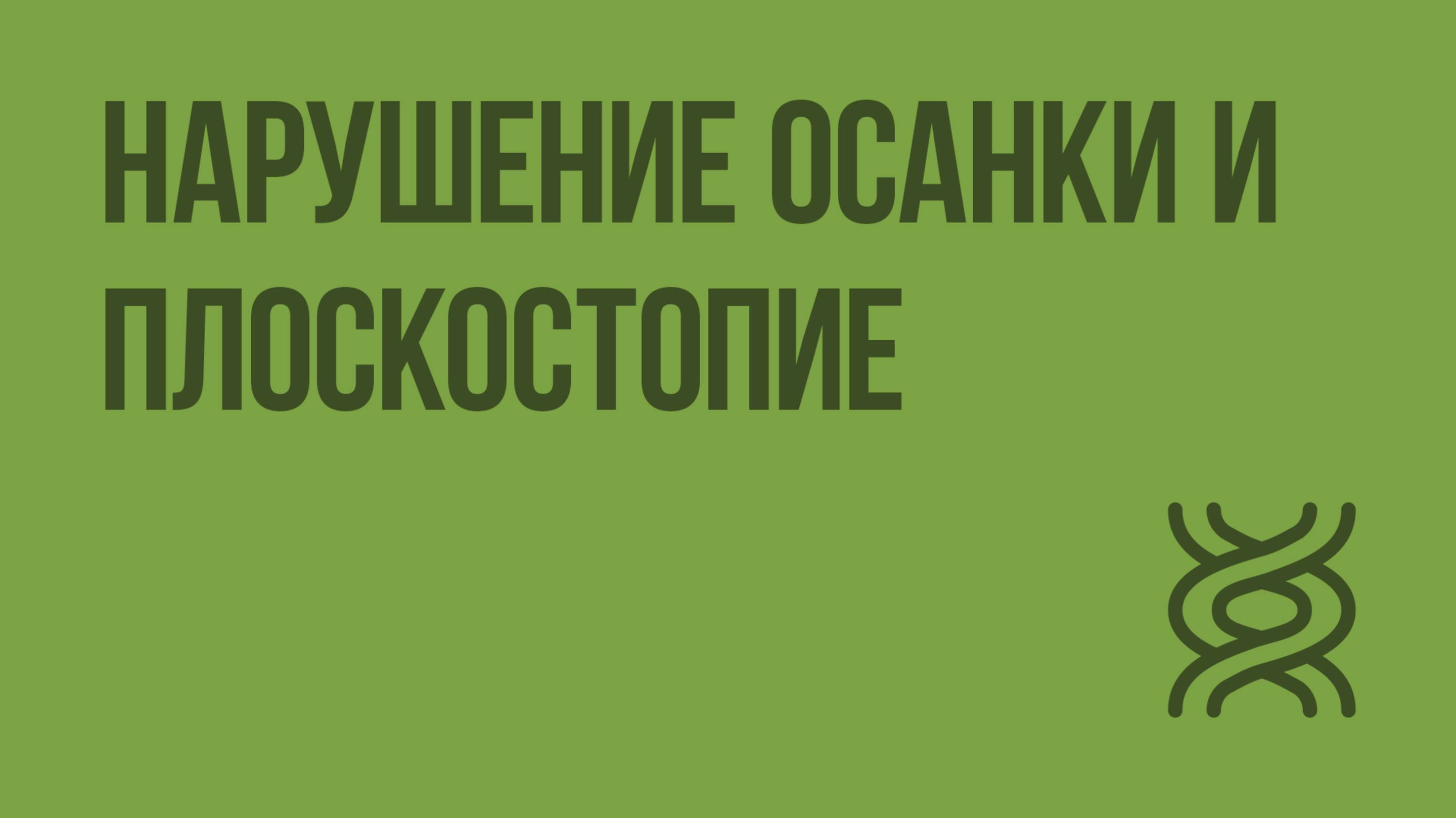 Нарушение осанки и плоскостопие. Видеоурок по биологии 8 класс