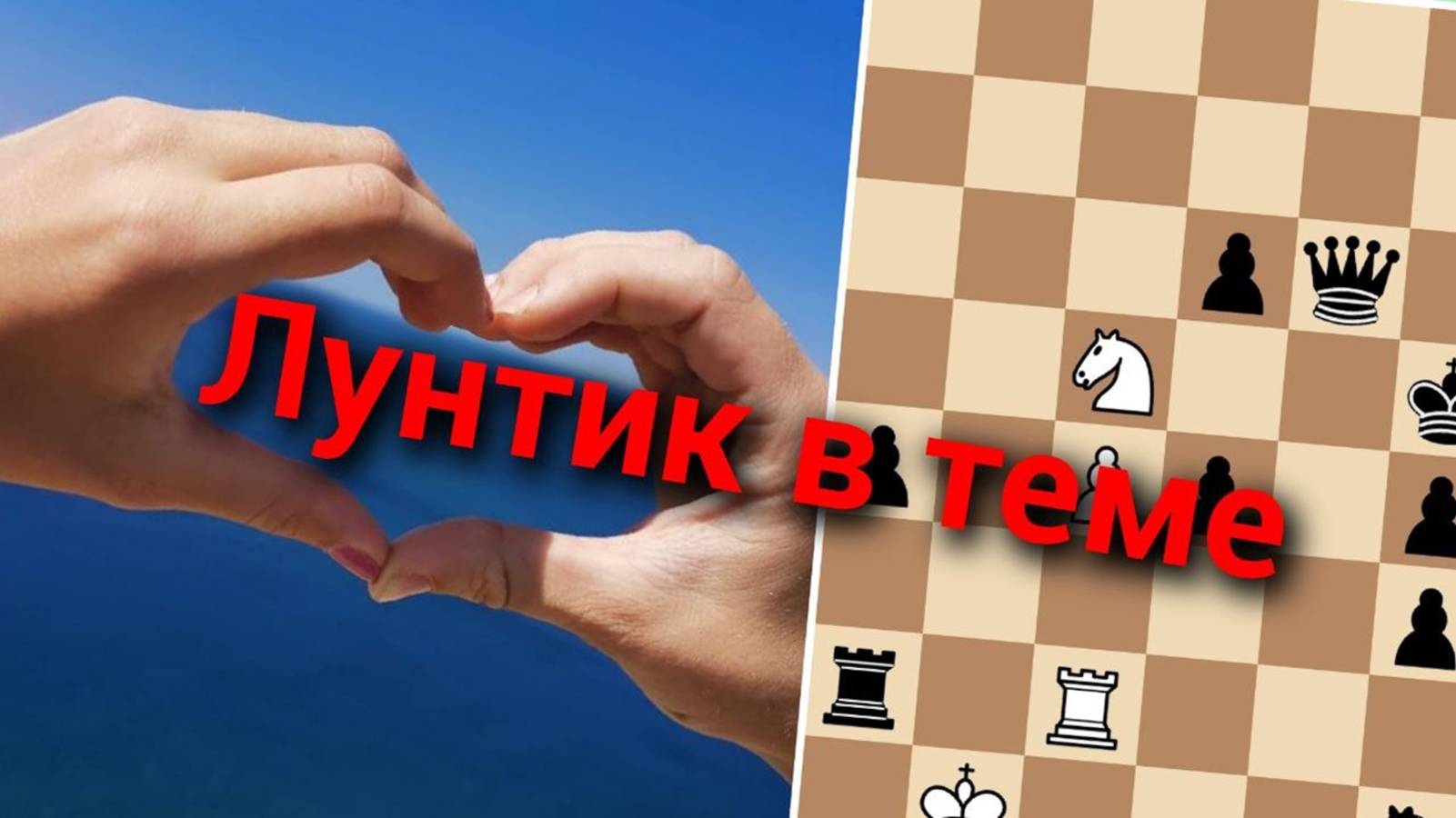 Какой мультик войдёт в топ? 5 решений!