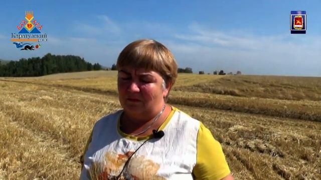 На полях Каратузского  района идет уборочная кампания