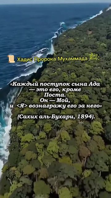 Рамадан:Пост: это дар который меняет жизнь