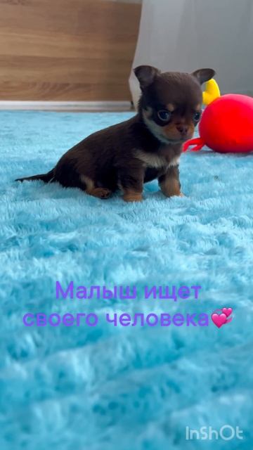 Лёнечка