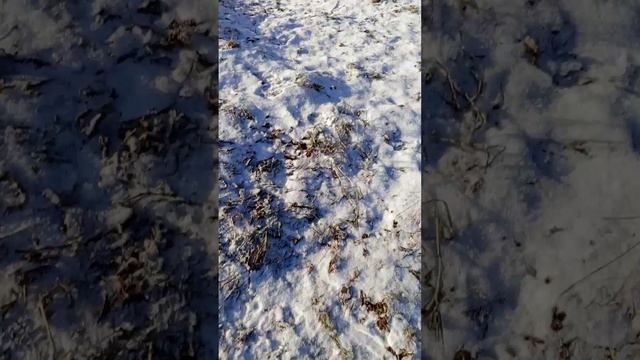 мы катаемся с горки ( часть 2)