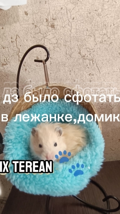 набор открыт дз зделали не все☹️ квадробика 🐾🪶