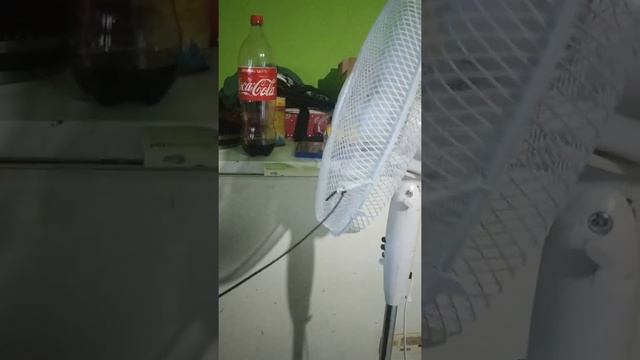 RDR2 online stand cooling fan AFK method