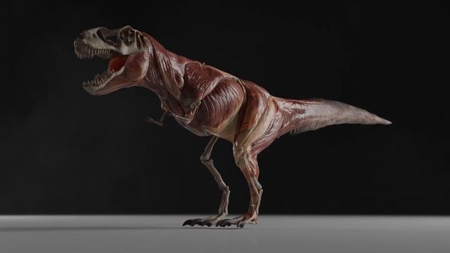Blender | Tyrannosaurus Rex Muscle Simulation Teaser