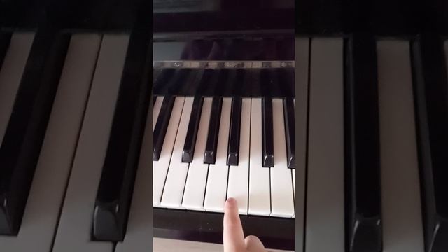 VID_20250305_094205.mp4