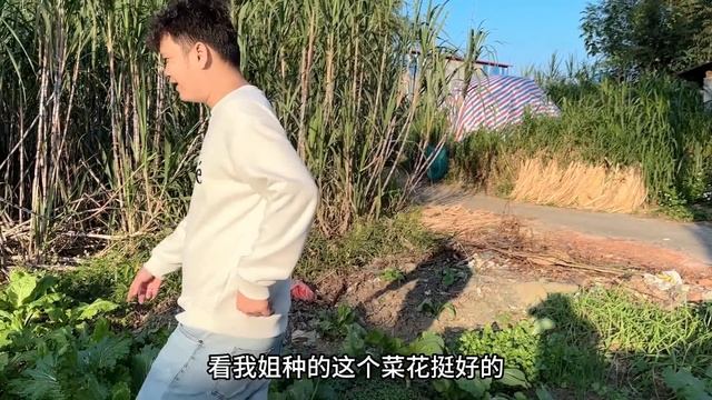 强子送小陈回来啦，还特意打包了烤鸡给狗狗吃，回家把小陈的衣服收好等她下次再来【九龙强子】