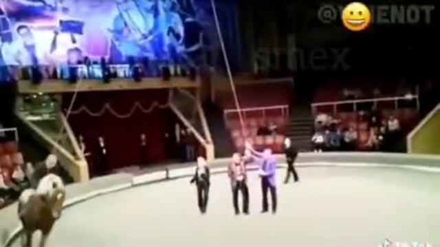 Сходила с пьяным мужем в цирк😂 До конца!