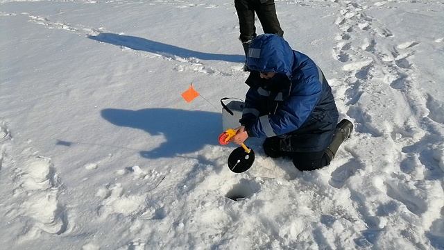 Щука на жерлицу. Сезон 2025.