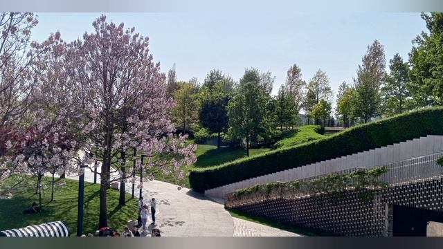 Парк Галицкого.Краснодар.04.2024г.