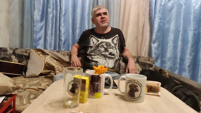 Дмитрий Александрович Титов  @ Моя Жизнь Кино @ Музей Псов