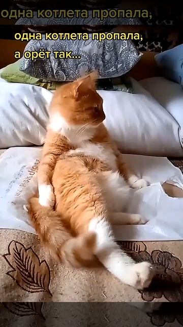 юмор позитив