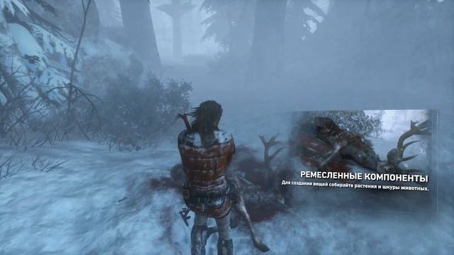 Rise Of The Tomb Raider Из Сирии в Сибирь ! №2