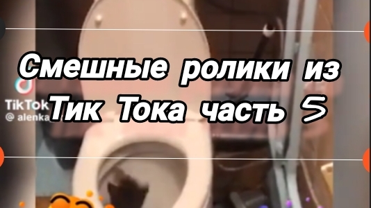 Смешные роликиᡕᠵ᠊ᡃ່࡚ࠢ࠘⸝່ࠡ᠊߯ᡁࠣ࠘᠊᠊ࠢ࠘气亠
