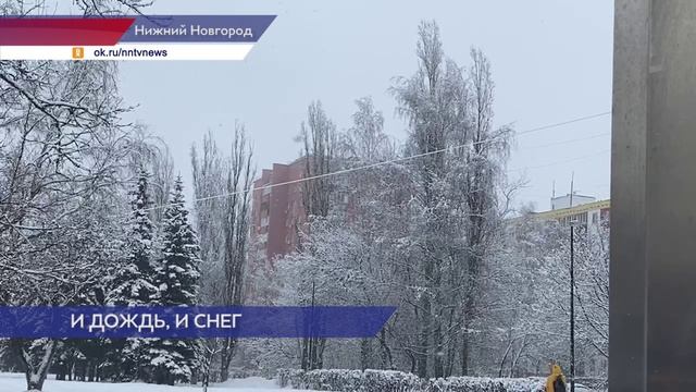 Мокрый снег и порывистый ветер накрыл Нижегородскую область