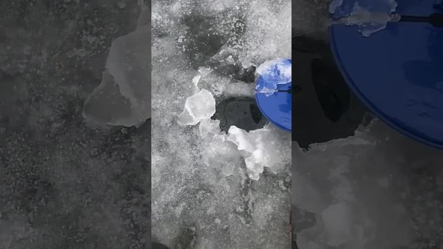 Тот момент ради чего едешь на РЫБАЛКУ!!