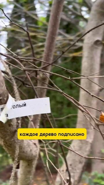 Как сэкономить на ландшафте?ТОП советы от эксперта!Больше тут@aaagutenkova Инстаграм @aaagutenkova