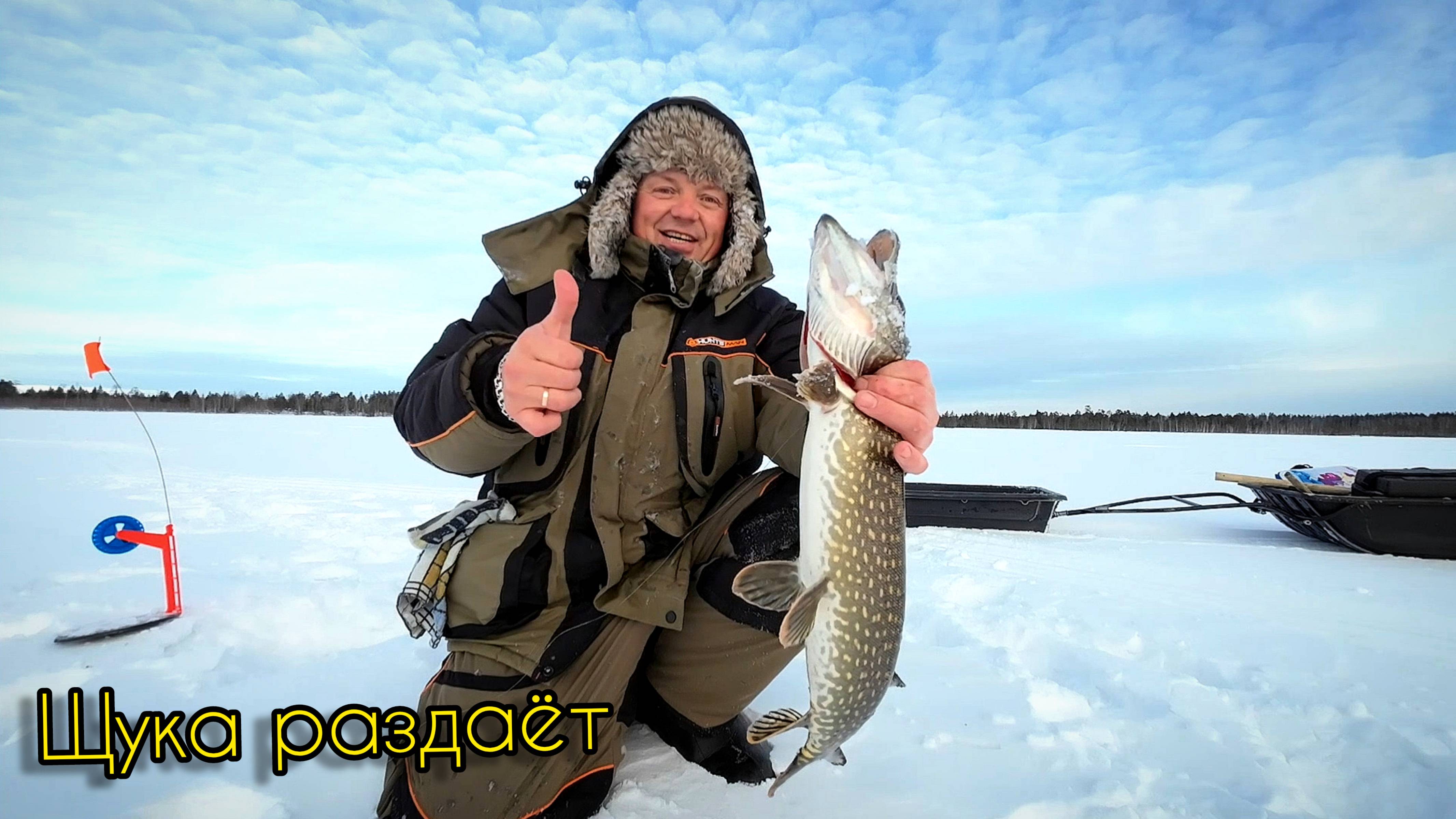 ФЕВРАЛЬСКИЕ ЖЕРЛИЦЫ