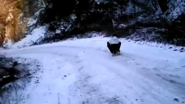 зимой место санок ПРИКОЛ
