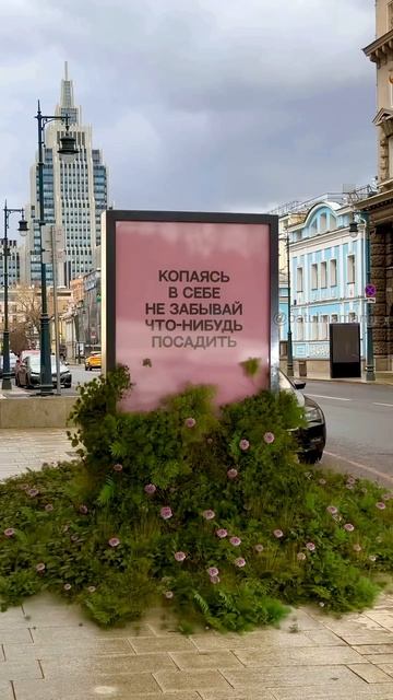 Цитата дня🩷