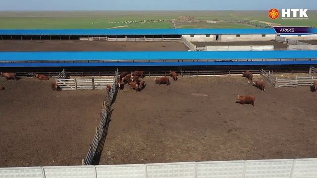 Минсельхоз Калмыкии объявляет прием документов на субсидии