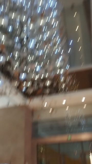 1000103745.mp4
