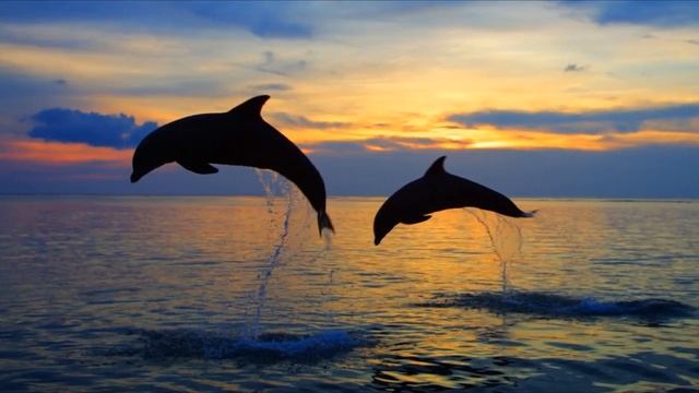 RICHARD CLAYDERMAN- EL DELFIN AZUL EN HD