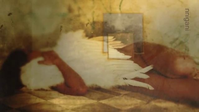 Hindi Zahra - Set me free