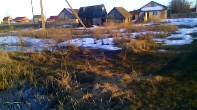Половодье на р Ляча
